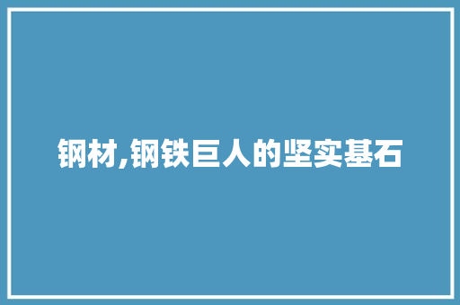 钢材,钢铁巨人的坚实基石