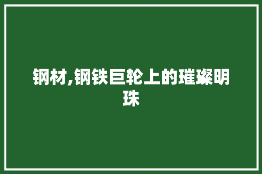 钢材,钢铁巨轮上的璀璨明珠
