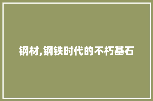 钢材,钢铁时代的不朽基石