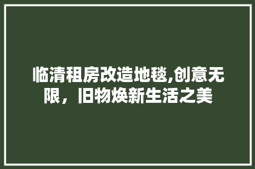 临清租房改造地毯,创意无限，旧物焕新生活之美
