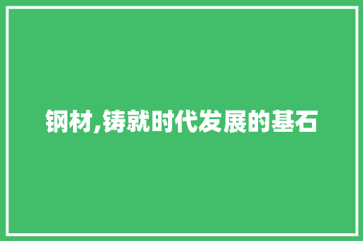 钢材,铸就时代发展的基石