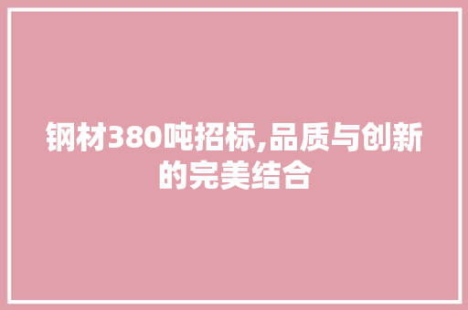 钢材380吨招标,品质与创新的完美结合