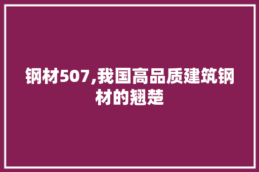 钢材507,我国高品质建筑钢材的翘楚