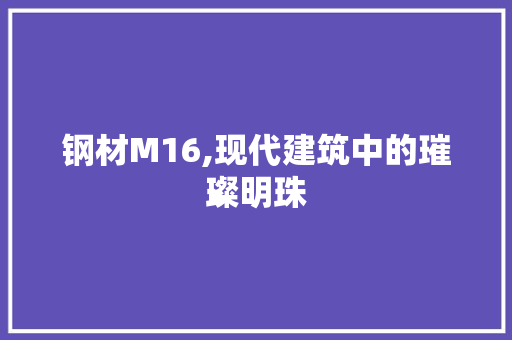 钢材M16,现代建筑中的璀璨明珠