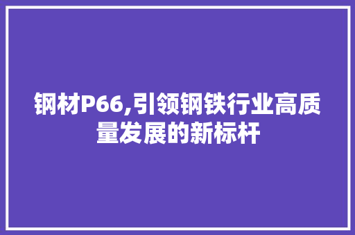 钢材P66,引领钢铁行业高质量发展的新标杆