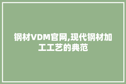 钢材VDM官网,现代钢材加工工艺的典范