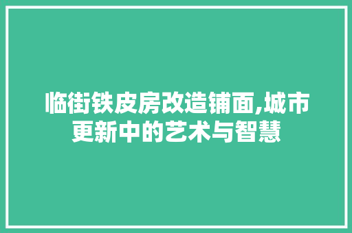 临街铁皮房改造铺面,城市更新中的艺术与智慧