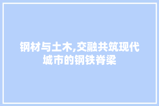 钢材与土木,交融共筑现代城市的钢铁脊梁