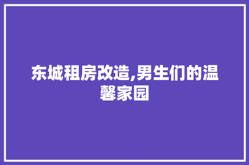 东城租房改造,男生们的温馨家园