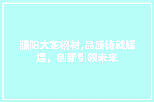 濮阳大龙钢材,品质铸就辉煌，创新引领未来