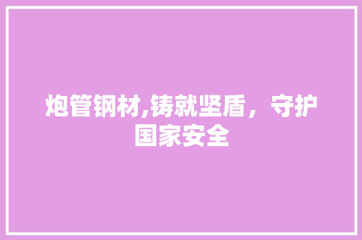 炮管钢材,铸就坚盾，守护国家安全