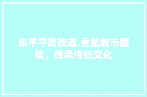 东平平房改造,重塑城市面貌，传承传统文化