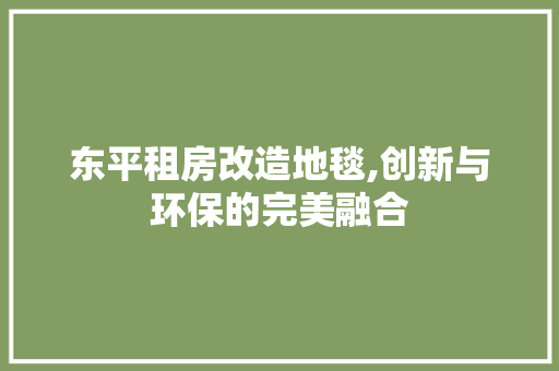 东平租房改造地毯,创新与环保的完美融合