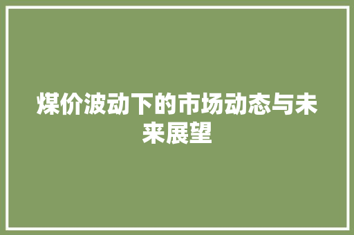 煤价波动下的市场动态与未来展望