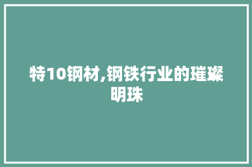 特10钢材,钢铁行业的璀璨明珠