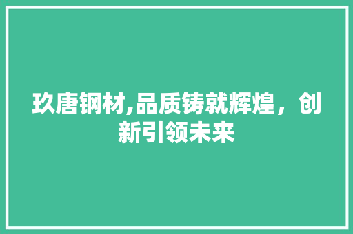 玖唐钢材,品质铸就辉煌，创新引领未来