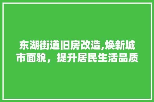 东湖街道旧房改造,焕新城市面貌，提升居民生活品质