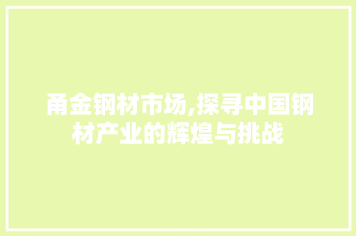 甬金钢材市场,探寻中国钢材产业的辉煌与挑战