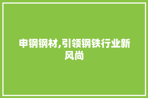 申钢钢材,引领钢铁行业新风尚