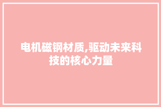 电机磁钢材质,驱动未来科技的核心力量