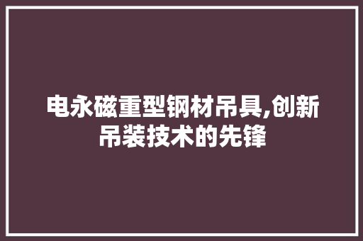 电永磁重型钢材吊具,创新吊装技术的先锋