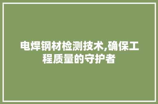 电焊钢材检测技术,确保工程质量的守护者