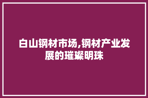 白山钢材市场,钢材产业发展的璀璨明珠