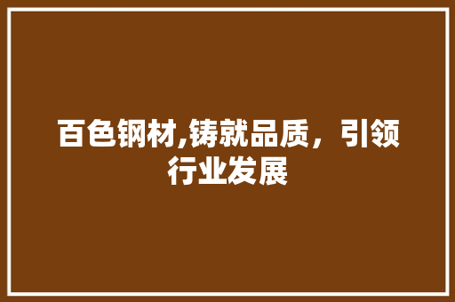 百色钢材,铸就品质，引领行业发展
