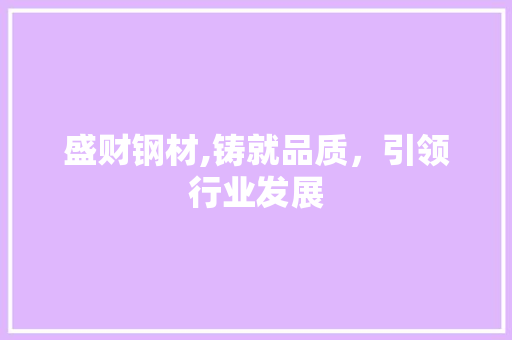 盛财钢材,铸就品质，引领行业发展