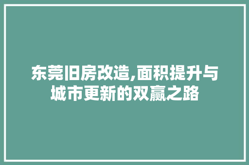 东莞旧房改造,面积提升与城市更新的双赢之路