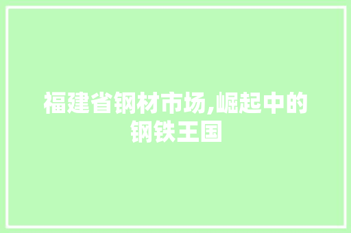 福建省钢材市场,崛起中的钢铁王国