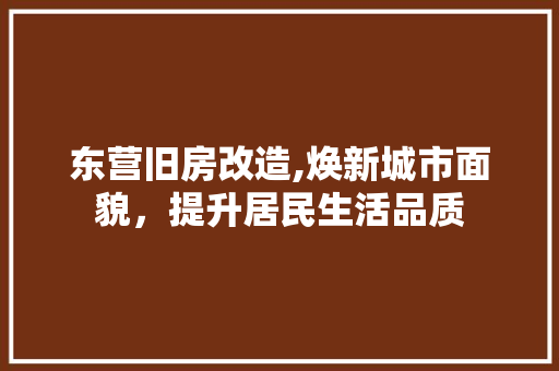 东营旧房改造,焕新城市面貌，提升居民生活品质