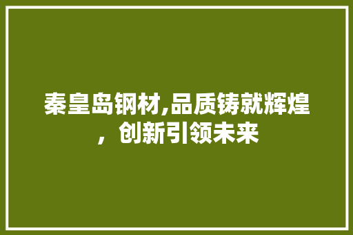 秦皇岛钢材,品质铸就辉煌，创新引领未来