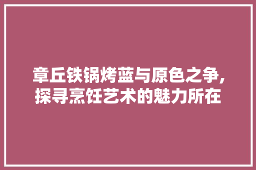 章丘铁锅烤蓝与原色之争,探寻烹饪艺术的魅力所在