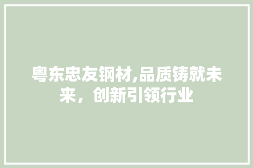 粤东忠友钢材,品质铸就未来，创新引领行业