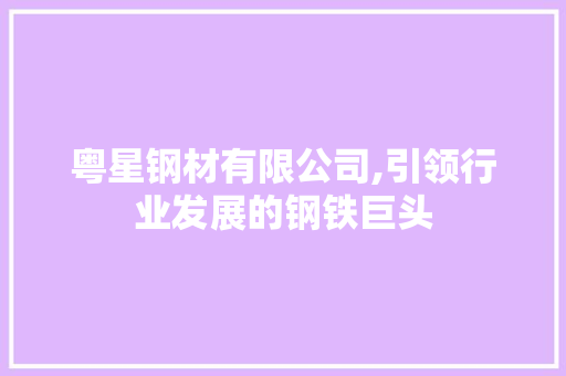 粤星钢材有限公司,引领行业发展的钢铁巨头