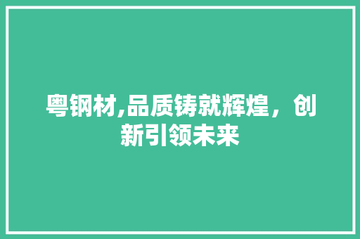 粤钢材,品质铸就辉煌，创新引领未来