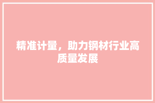 精准计量，助力钢材行业高质量发展