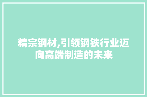精宗钢材,引领钢铁行业迈向高端制造的未来