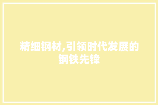 精细钢材,引领时代发展的钢铁先锋