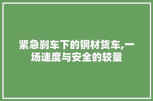 紧急刹车下的钢材货车,一场速度与安全的较量