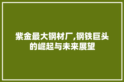 紫金最大钢材厂,钢铁巨头的崛起与未来展望