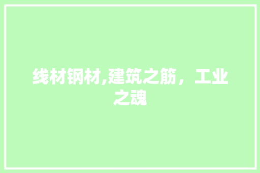 线材钢材,建筑之筋，工业之魂