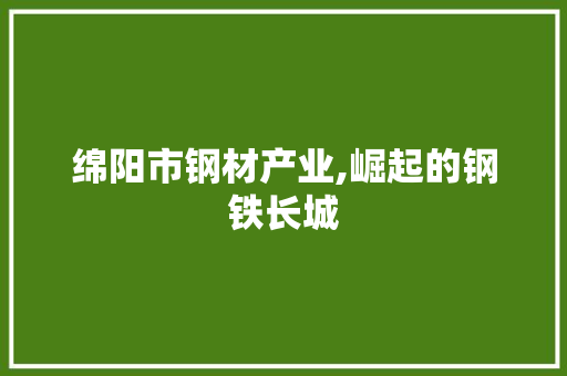 绵阳市钢材产业,崛起的钢铁长城