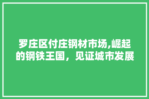 罗庄区付庄钢材市场,崛起的钢铁王国，见证城市发展的辉煌历程