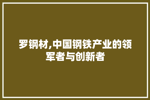 罗钢材,中国钢铁产业的领军者与创新者