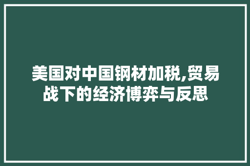 美国对中国钢材加税,贸易战下的经济博弈与反思