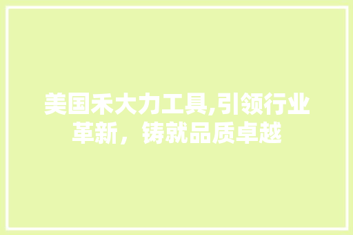 美国禾大力工具,引领行业革新，铸就品质卓越
