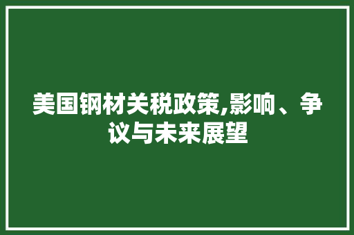 美国钢材关税政策,影响、争议与未来展望