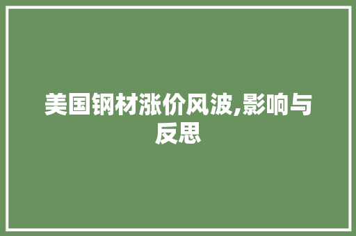 美国钢材涨价风波,影响与反思